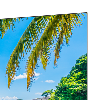 Google Smart TV | TeeView 32 inch LED TV | Frameless design | In Eindhoven geassembleerd | TV32QHG-EU